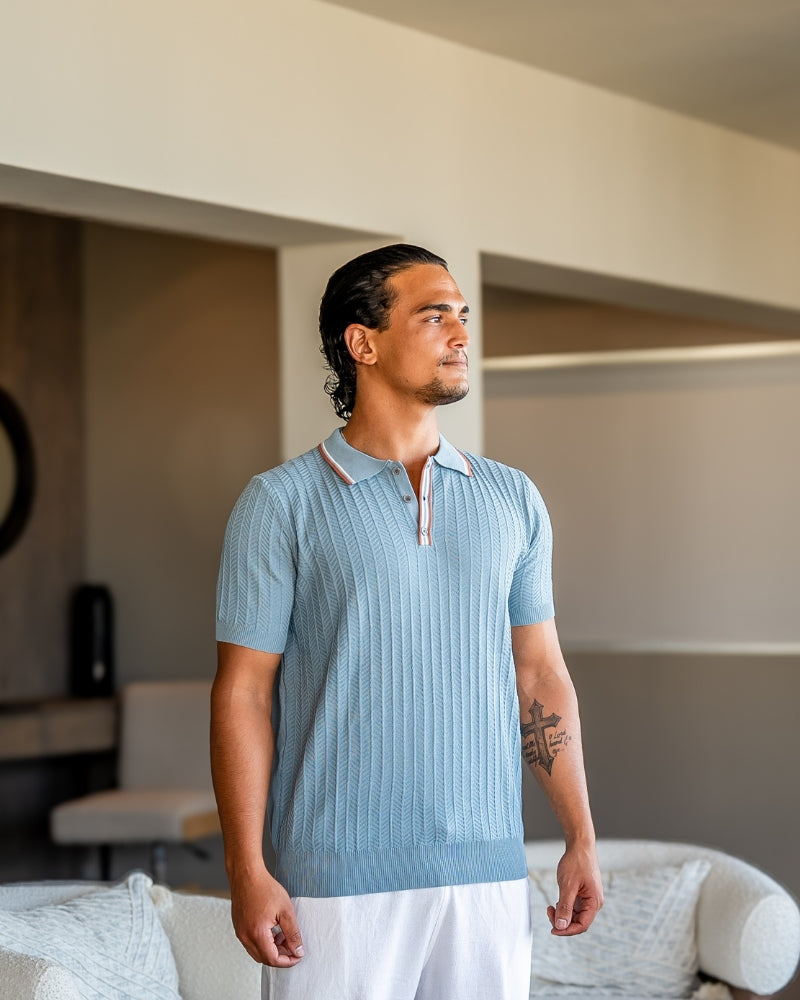 Camisa Polo Ashford